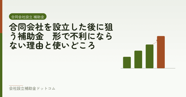 合同会社を設立した後に狙う補助金｜形で不利にならない理由と使いどころ｜会社設立の補助金と支援の解説