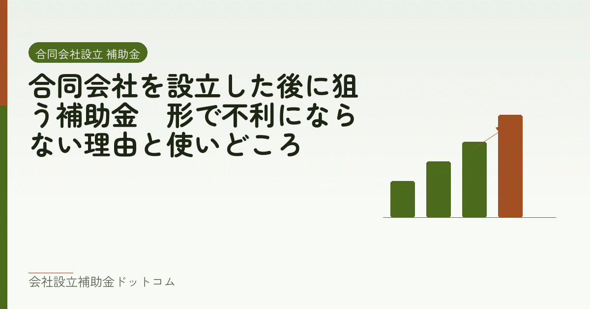 合同会社を設立した後に狙う補助金｜形で不利にならない理由と使いどころ｜会社設立の補助金と支援の解説