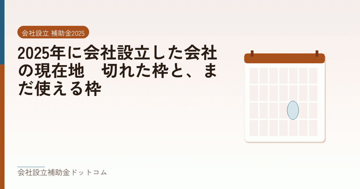 2025年に会社設立した会社の現在地｜切れた枠と、まだ使える枠｜会社設立の補助金と支援の解説