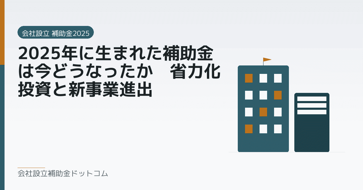 2025年に生まれた補助金は今どうなったか｜省力化投資と新事業進出｜会社設立の補助金と支援の解説