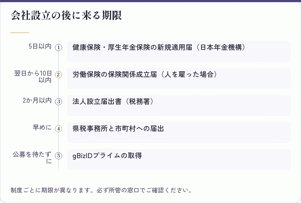 会社設立の後に来る期限