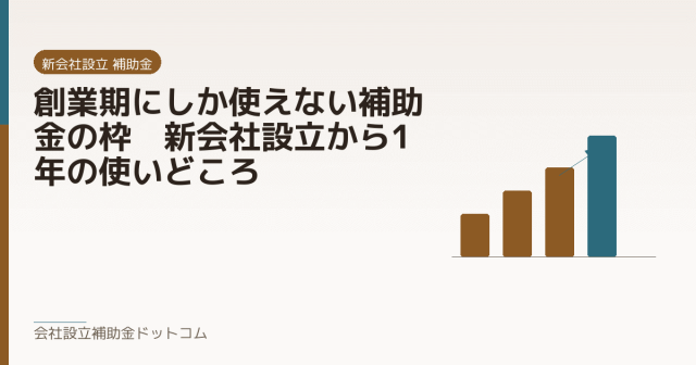 創業期にしか使えない補助金の枠｜新会社設立から1年の使いどころ｜会社設立の補助金と支援の解説
