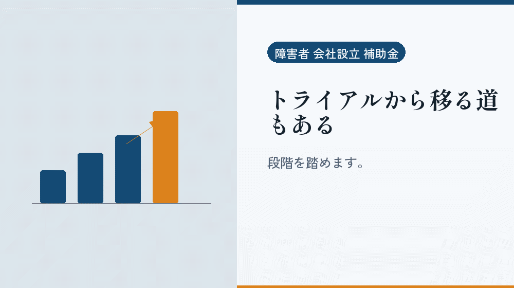 トライアルから移る道もある|会社設立の補助金と支援
